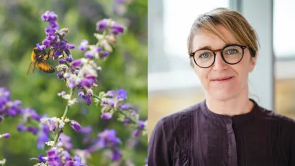 Helena Allard, hållbarhetsinnovatör Axfood